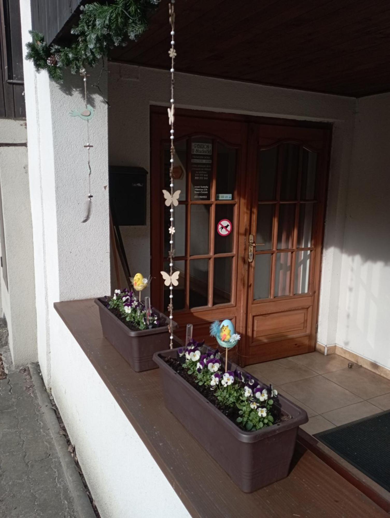 Penzion U Studnicku Ceska Lipa Exterior photo